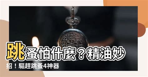 跳蚤 茶樹精油|跳蚤怕什麼？2024 最全居家消滅跳蚤攻略！｜潔客